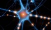 Neuronii oglinda – traducerea neurologica a empatiei si evolutiei umane?