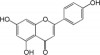 Efectul polifenolilor din ceai asupra metabolizarii hepatice a xenobioticelor