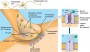 Secretele creierului- biochimia memoriei