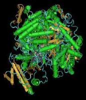 Vitamina B12:Substrat modificat conformational de catre o enzima B12 dependenta