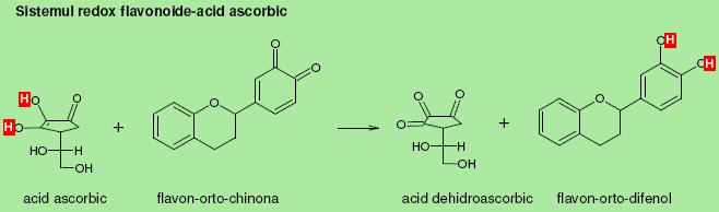 Sistemul redox flavonoide-acid ascorbic