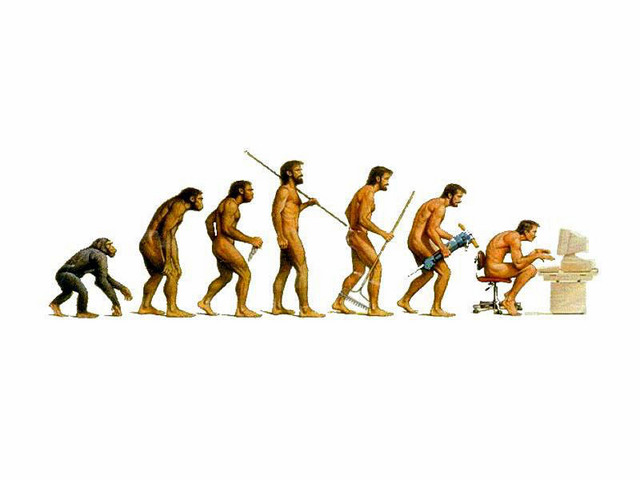 evolutie umana