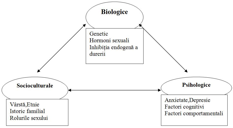 Schema