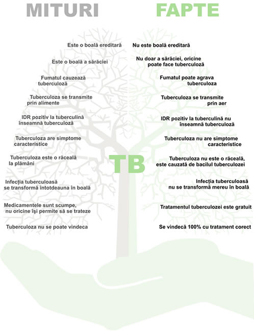 TB - mituri, fapte