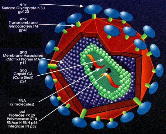 hiv nanotehnologie